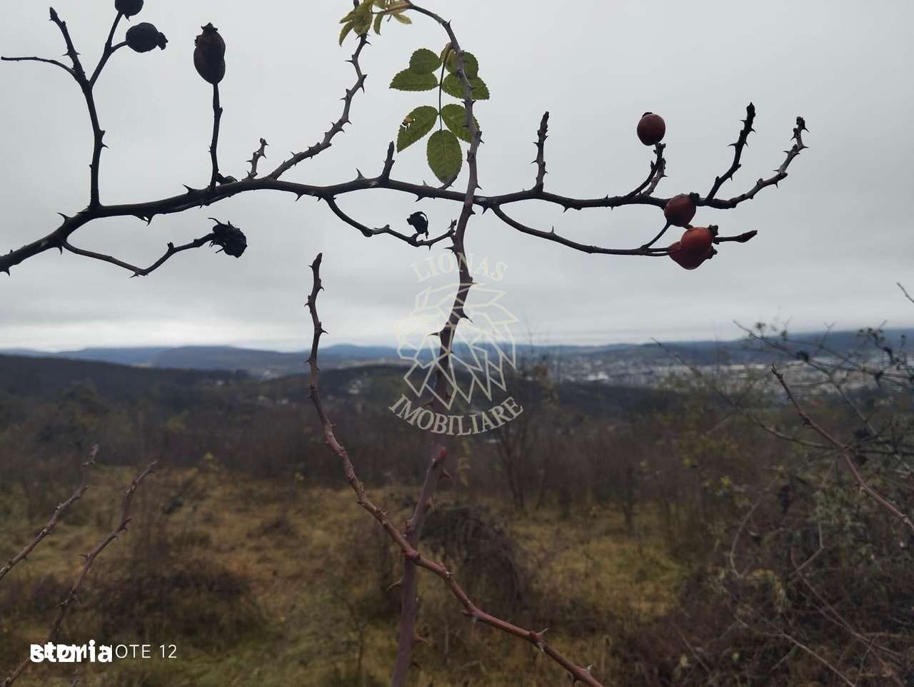 Teren 1000 mp-ideal casa de vacanta, investitie-Zona Valea Budacului - Imagine principală: 3/4