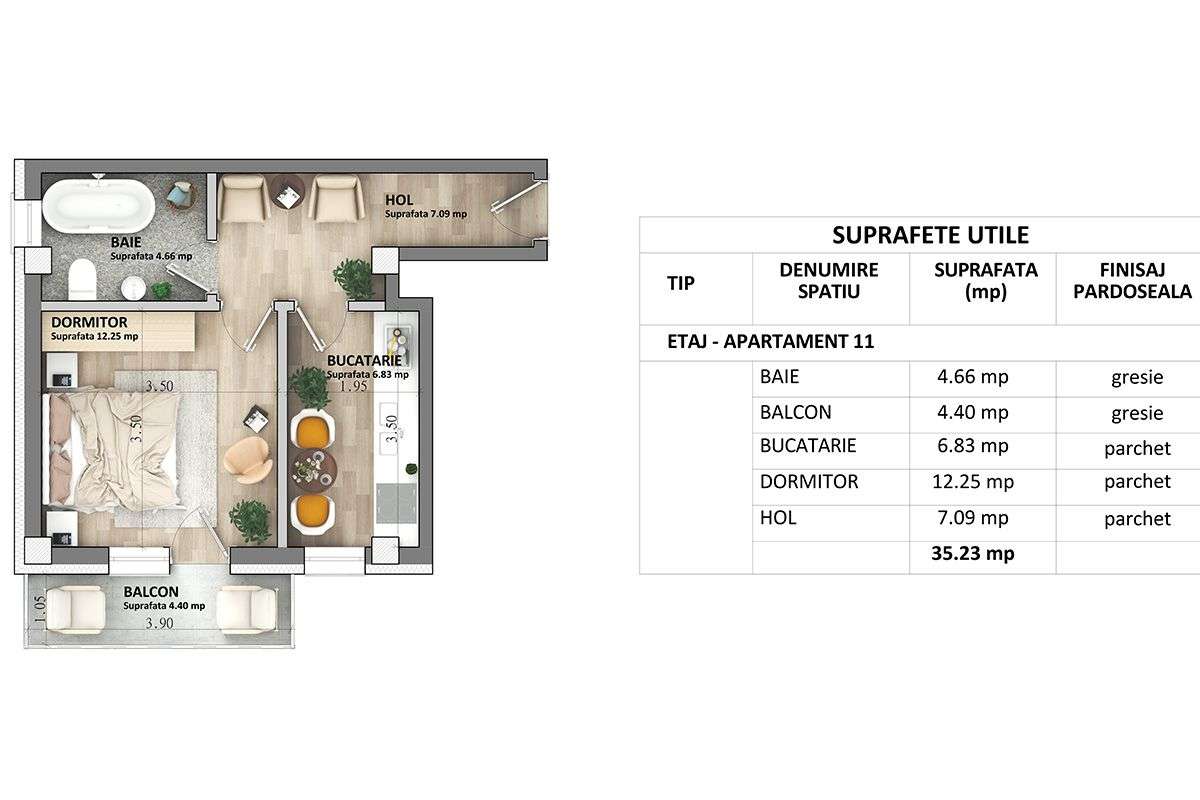Capat CUG Apartament 1 camera D 35 m PARTER LA STRADA  Lunca Cetatuii - Imagine principală: 4/15