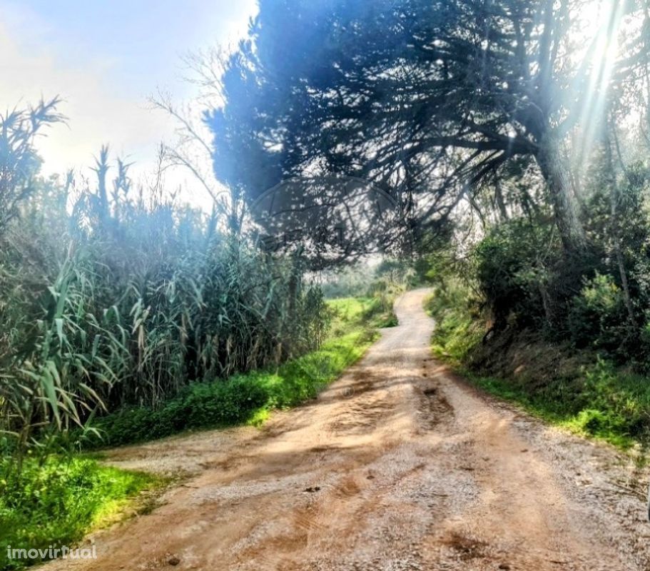 Terreno  para venda