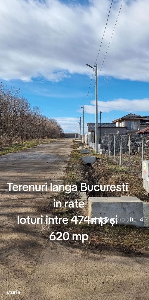 Teren intravilan in RATE FARA AVANS Dascalu- ILFOV langa padure