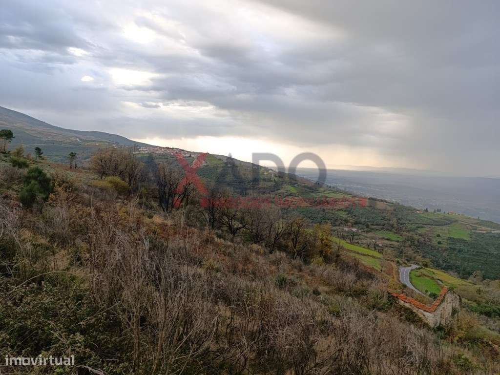 Quinta rústica com ruína em pedra. - Grande imagem: 3/6