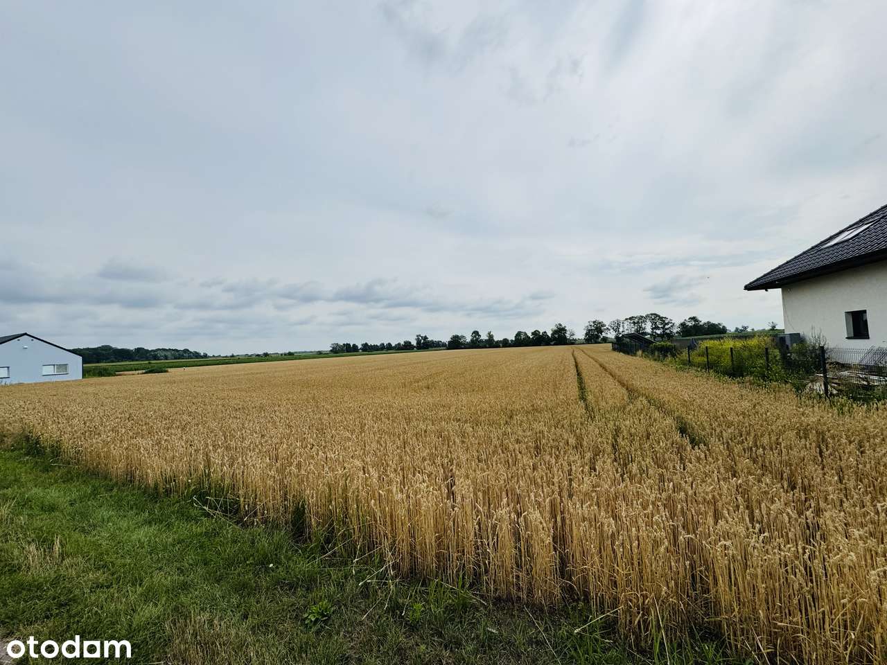 Wierzbice, działka budowlano-rolna o pow. 1,3 ha,-2