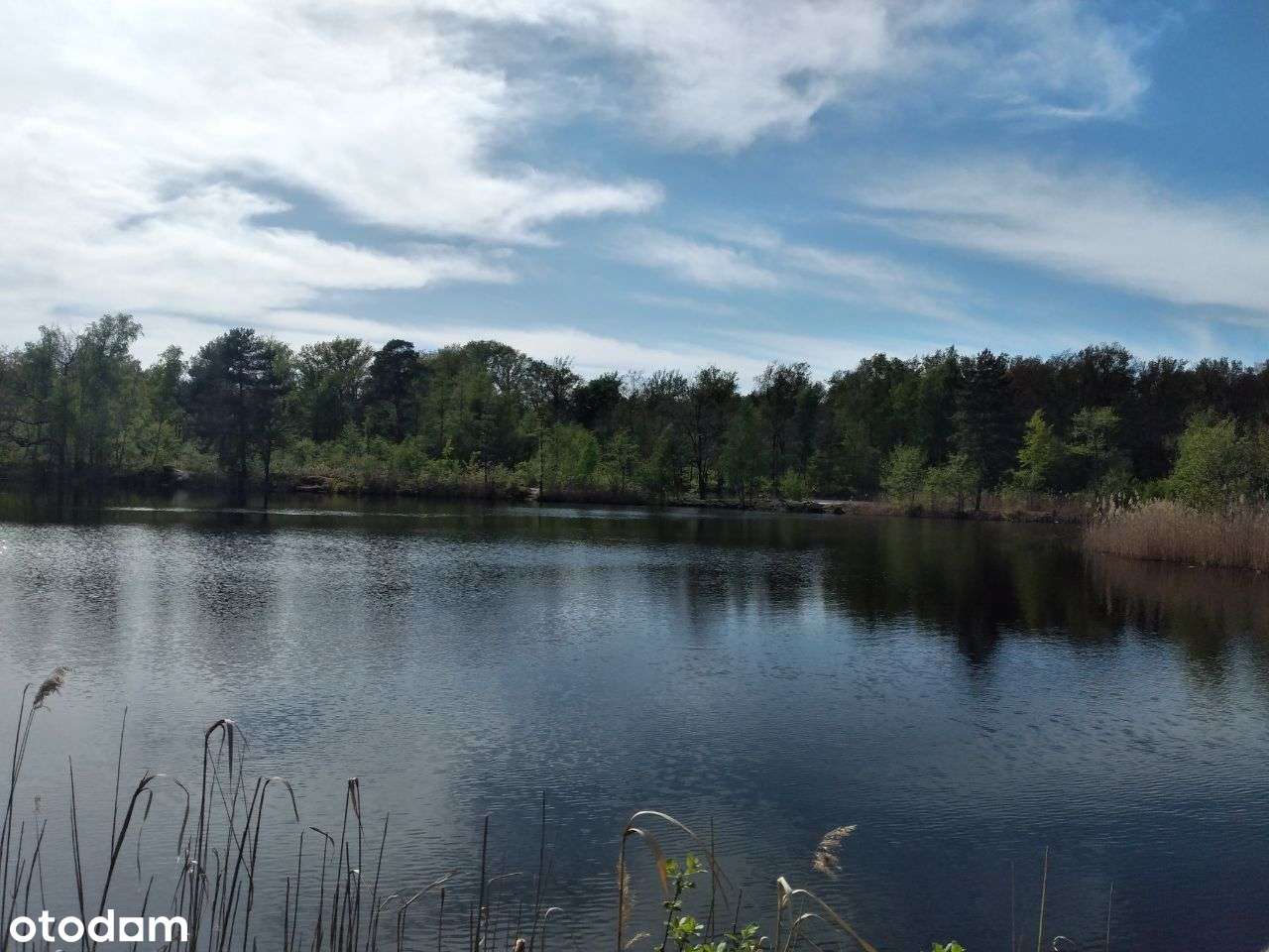 PROMOCJA - Działki budowlane nad jeziorem-16
