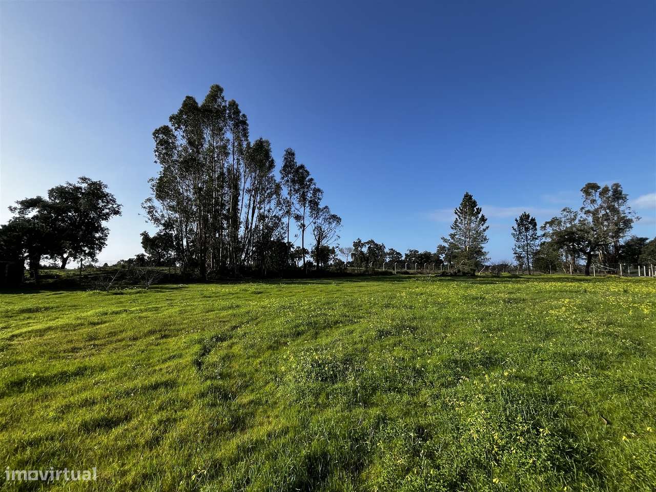 Terreno Urbano  Venda em Cortiçadas de Lavre e Lavre,Montemor-o-Novo - Grande imagem: 4/16