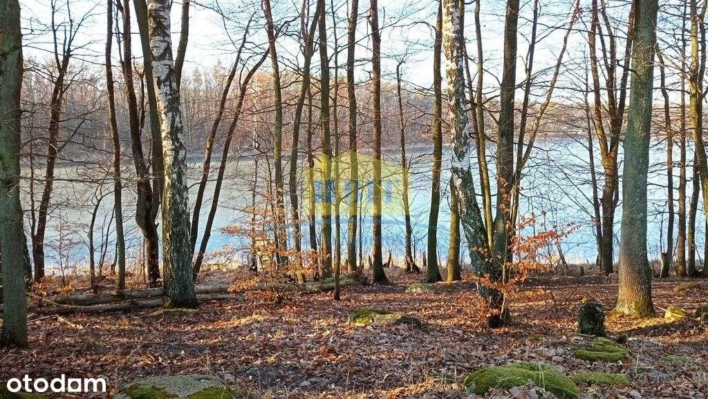 Działka 6066 m2, z dostępem do jeziora Kaleńsko-5