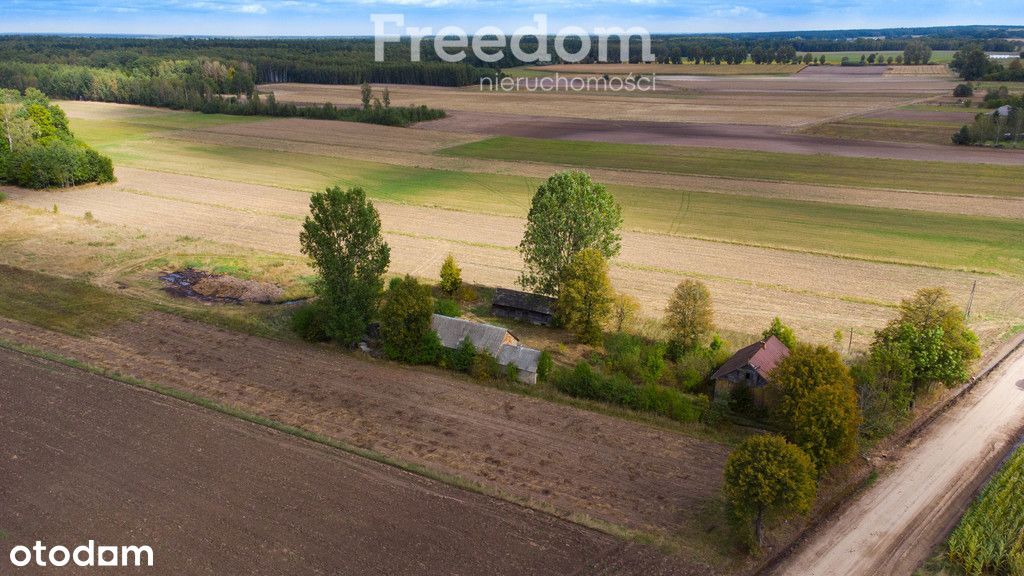 Siedlisko na skraju wsi w sercu zielonego Podlasia