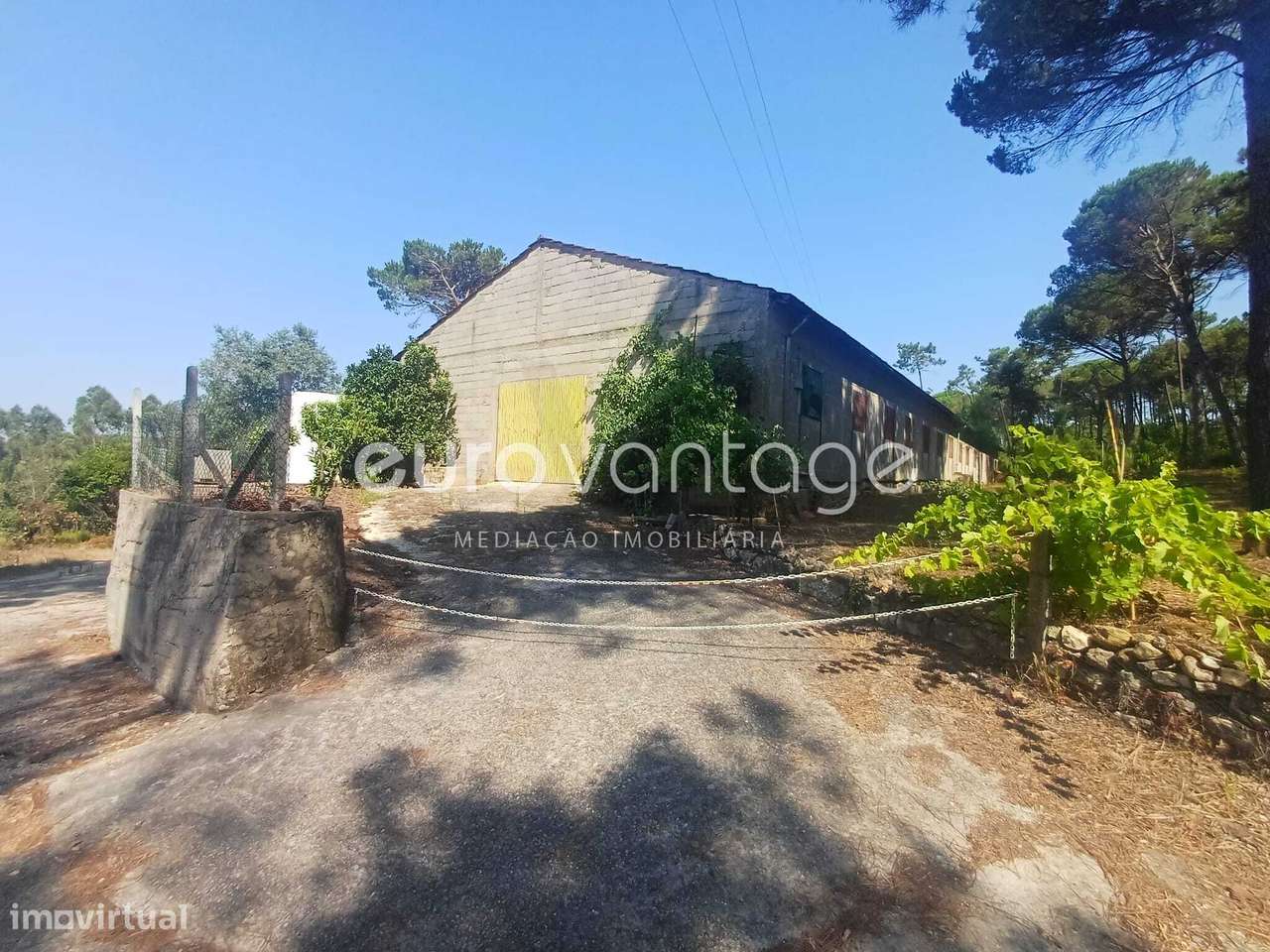 Pavilhão Amplo destinado a Aviario - Grande imagem: 5/6