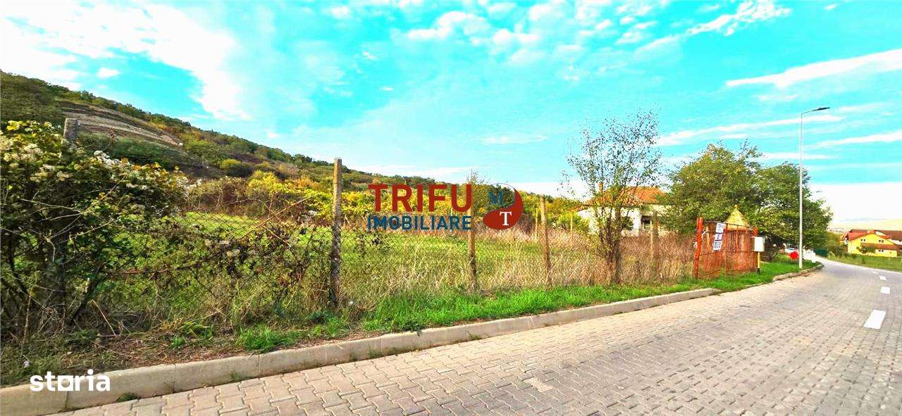 Teren de vanzare Valea Popi - Imagine principală: 2/6