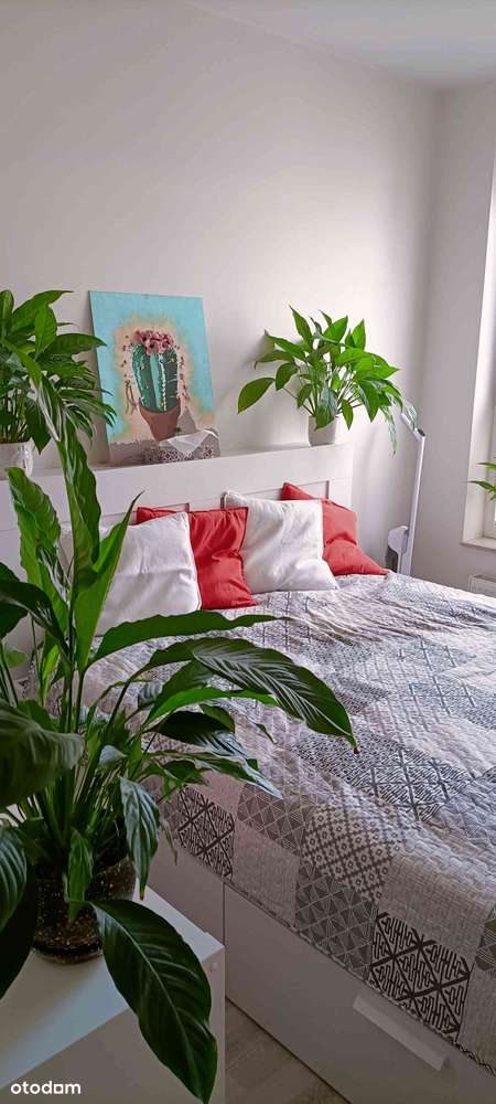 Mieszkanie, 4 pokoje, Targówek Mieszkaniowy, blisko metro - Pełny obrazek: 5/18