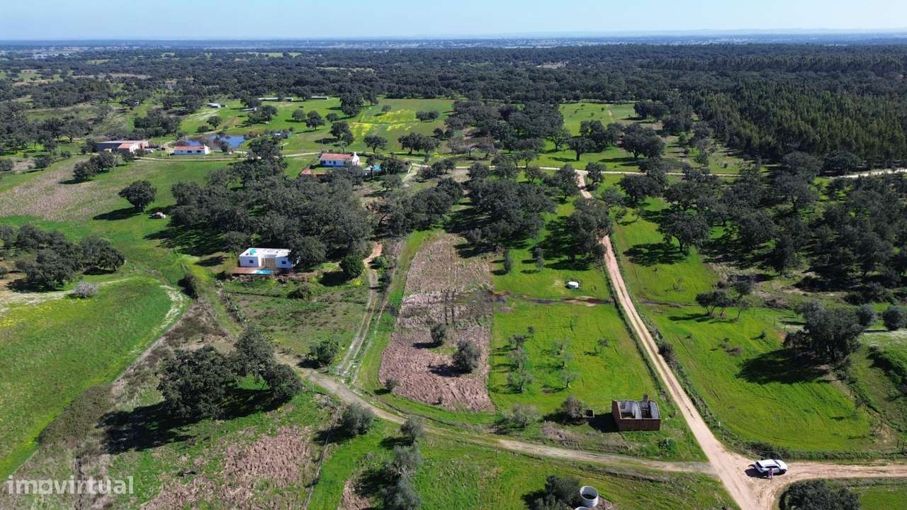 Terreno Rústico com 1,8 ha junto à Barragem de Fonte de Serne-4