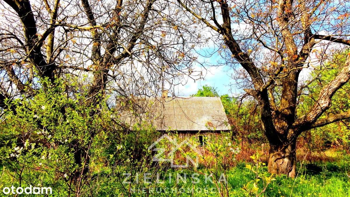 Grunty pod zabudowę lub fotowoltaikę – 10 ha,-7