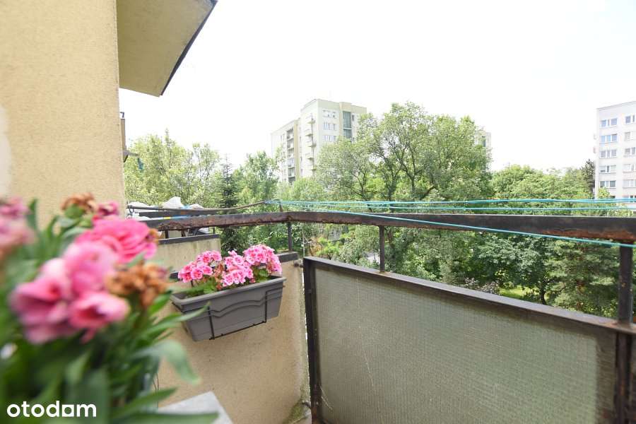 NA SPRZEDAŻ  2- POKOJOWE MIESZKANIE OSOBNA KUCHNIA-9