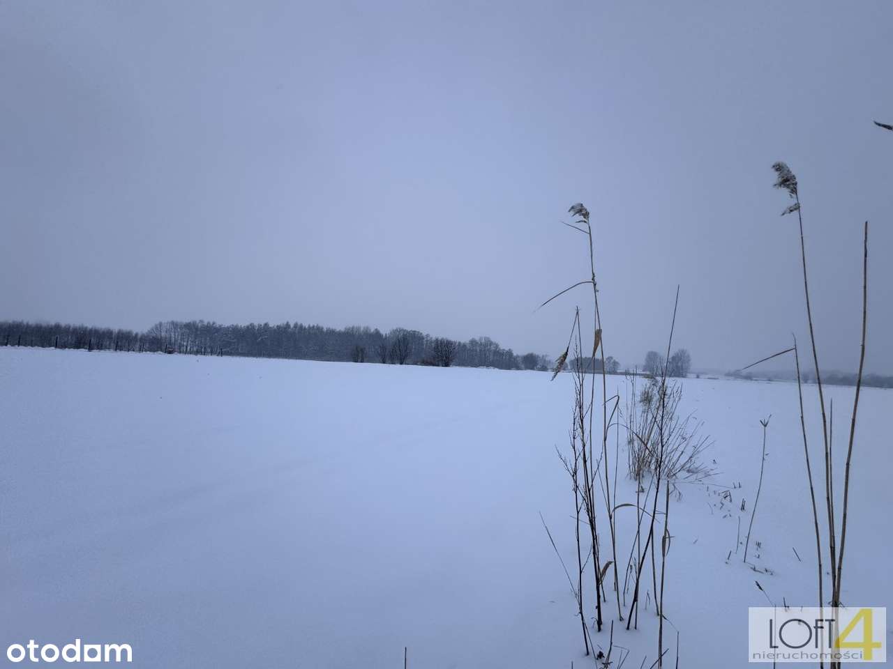 Łukowa - doskonała okazja dla inwestora z WZ-7