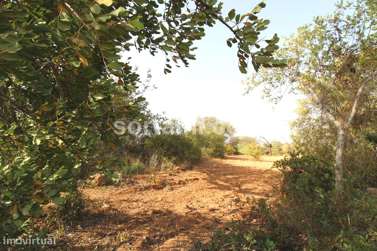 Terreno Rústico  Venda em Loulé (São Sebastião),Loulé - Grande imagem: 2/9