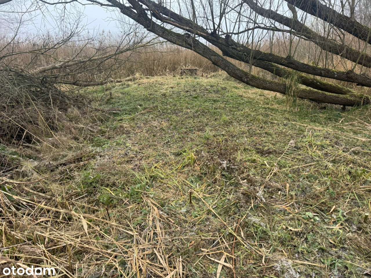 NA Sprzedaz Działka Z Linią Brzegową Jeziora-5