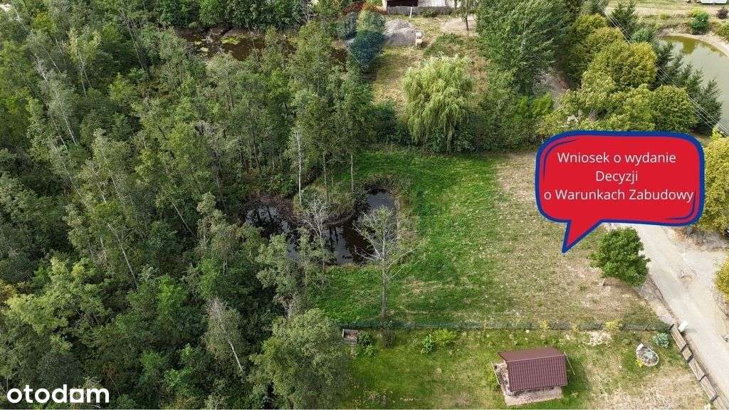 Działka z własnym stawem przy jeziorze Sumin - Pełny obrazek: 4/5