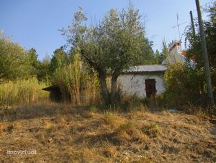 TERRENO MISTO NO ALTO ALENTEJO