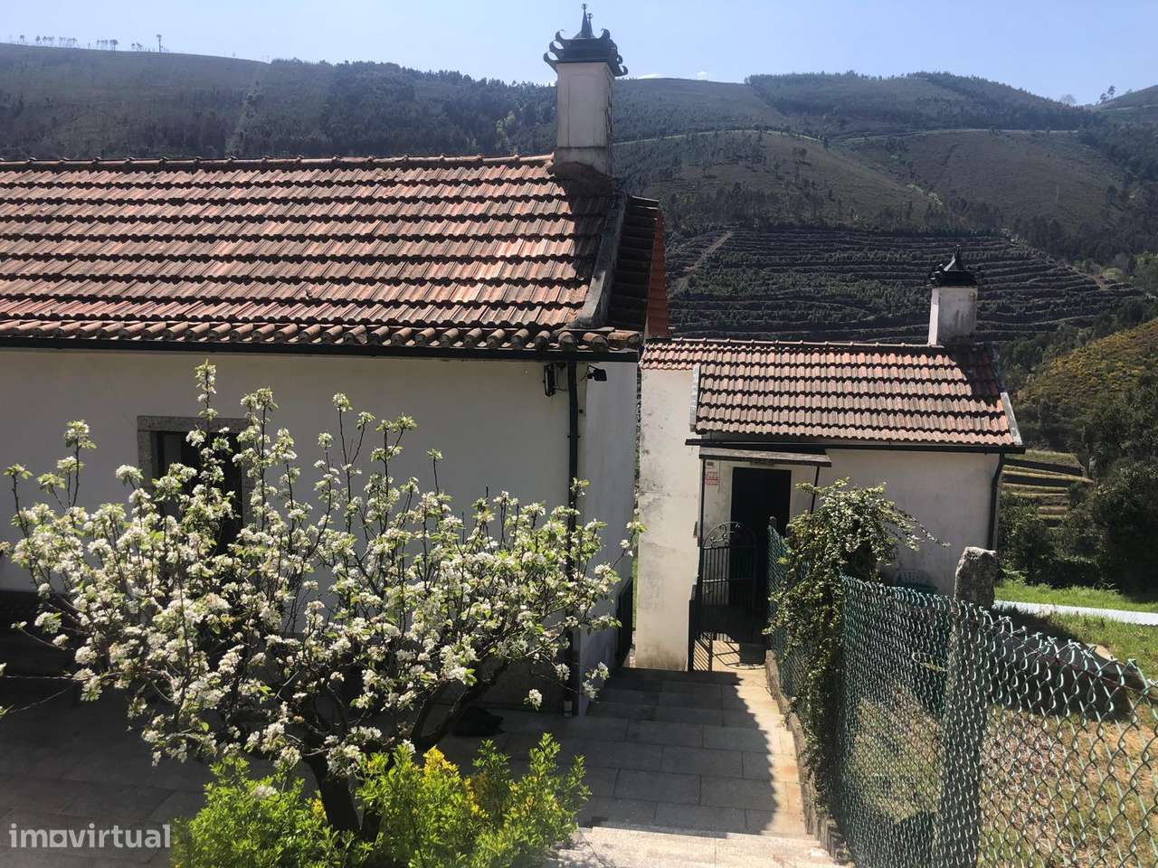 Quinta espetacular na região do vinho verde em plena produção-32