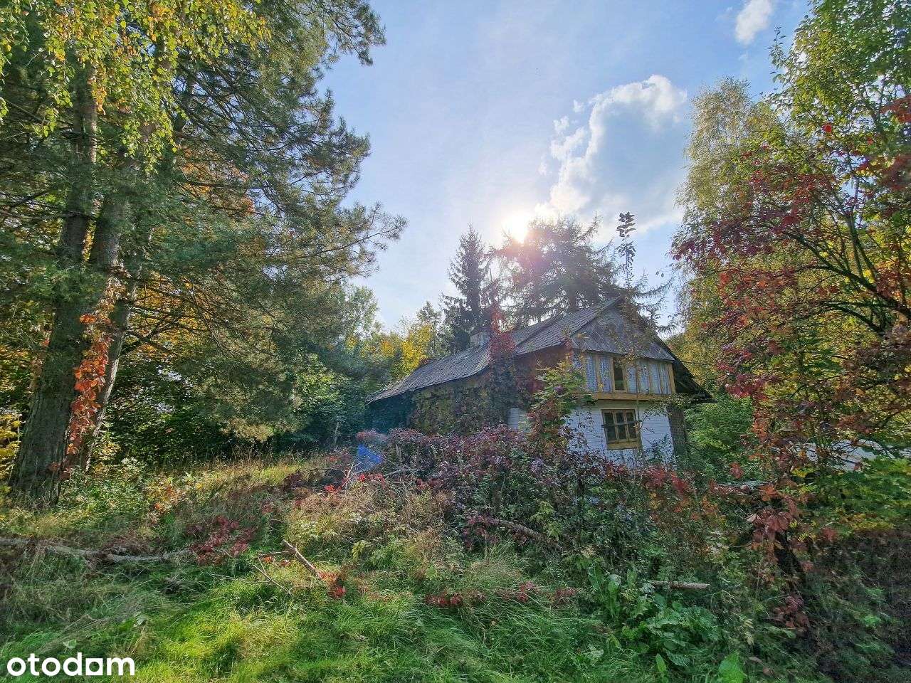 Drewniany dom na działce 3620 m otoczony zielenią - Pełny obrazek: 5/18