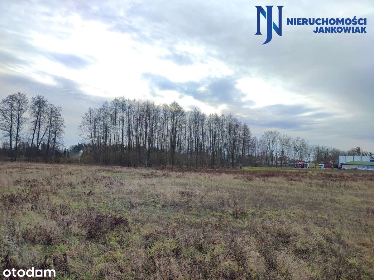 Sękowo-działka z warunkami zabudowy! - Pełny obrazek: 5/5