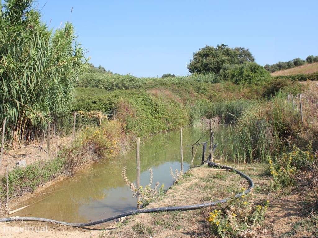 Casa de Campo, terreno, vista panorâmica concelho Rio Maior-27