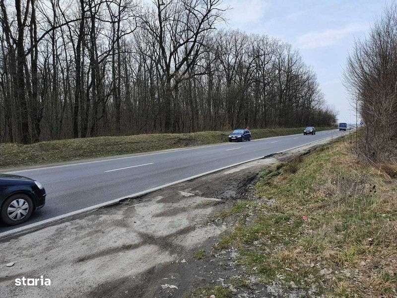 Vand Padure 10000 mp - Imagine principală: 5/6