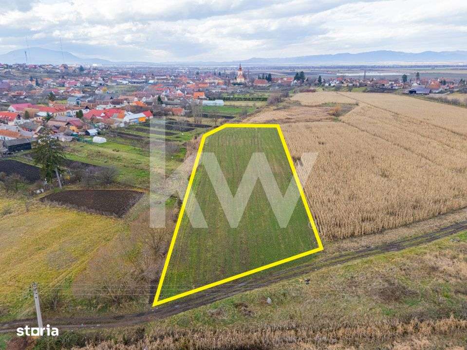 Teren 10000 mp in Extravilan, Bod, Brasov- COMISION 0%-1
