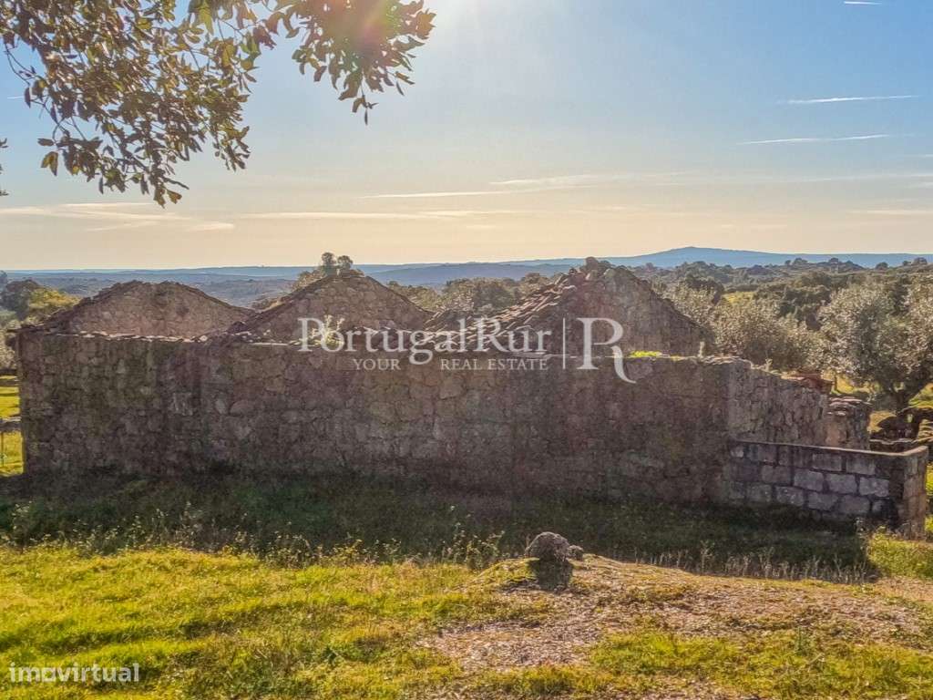 Quintinha com 1,2ha e ruína urbana em São Miguel Acha - Grande imagem: 5/28