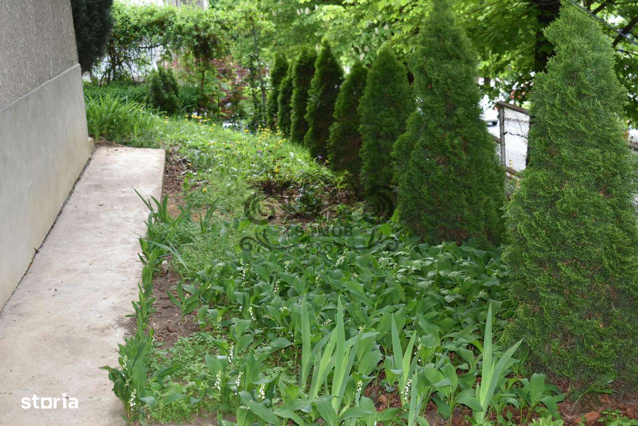 Vând Vilă deosebită cu 5 camere in Centrul Brașovului-11