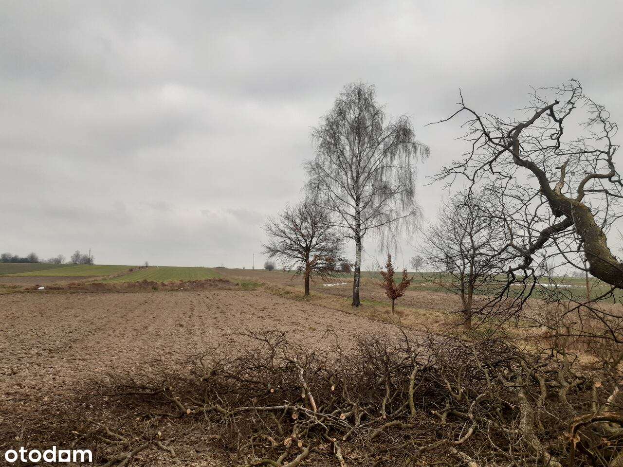 Dom do generalnego remontu z dużą działką budowlano-rolną-8