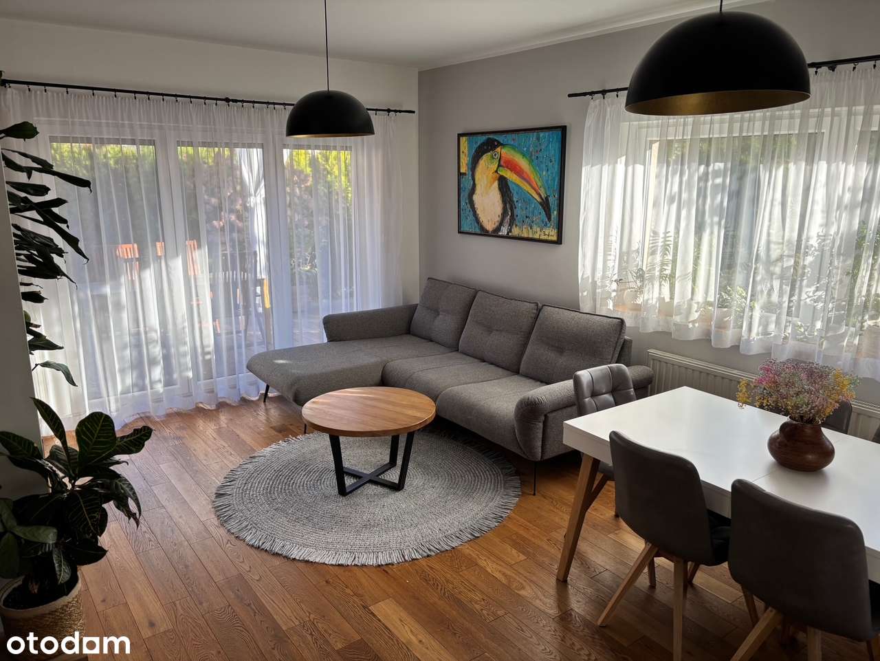 Bliźniak z pięknym ogrodem, Bezpośrednio - Pełny obrazek: 5/20