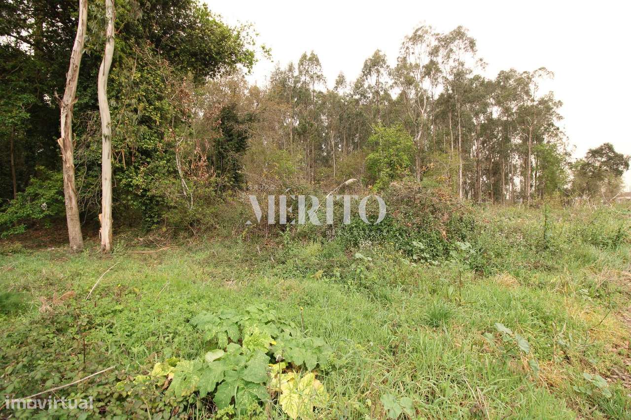Terreno Misto com área de 21.000m2- Aveleda - Vila do Conde - Grande imagem: 4/16