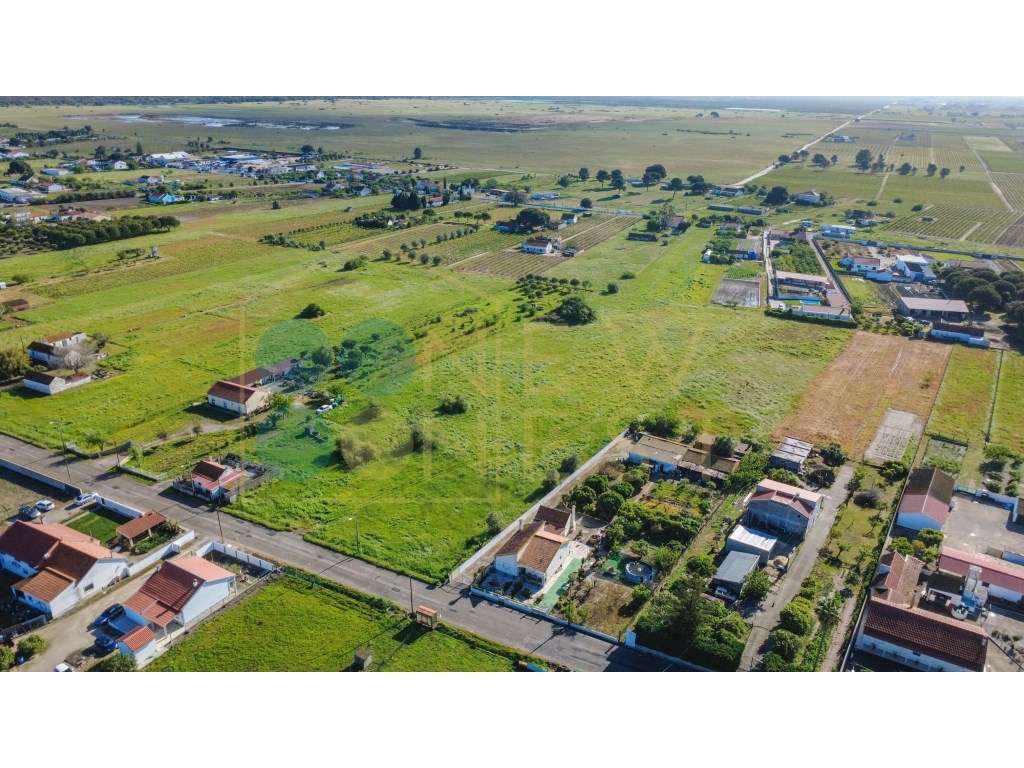 Construa duas casas num terreno único de 12.900m² em Arraiados-11