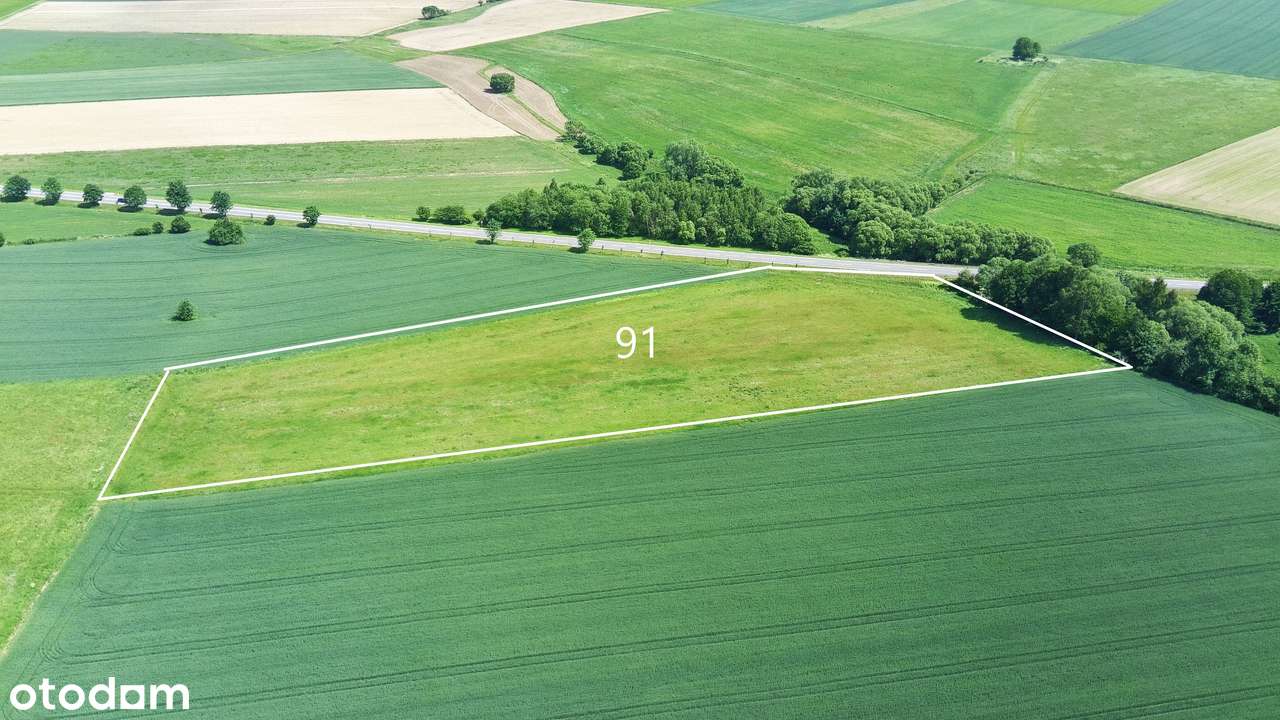 Na Sprzedaż Grunt Pod Produkcję i Usługi przy DK 33-4