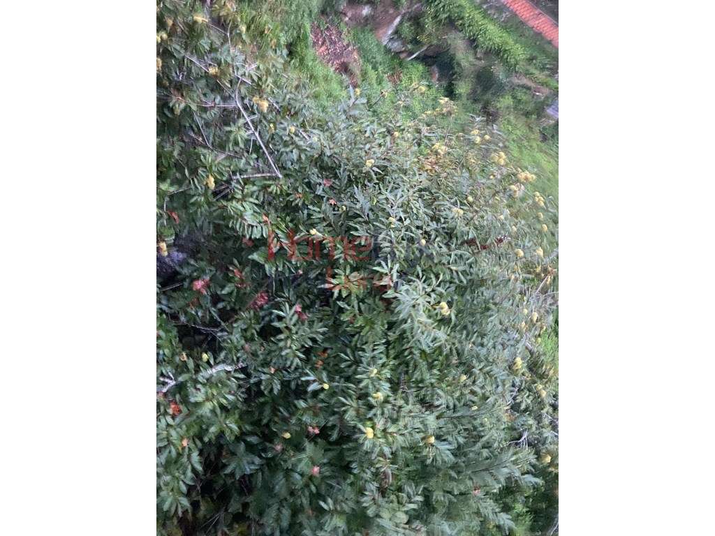 Terreno Rústico - Grande imagem: 2/9