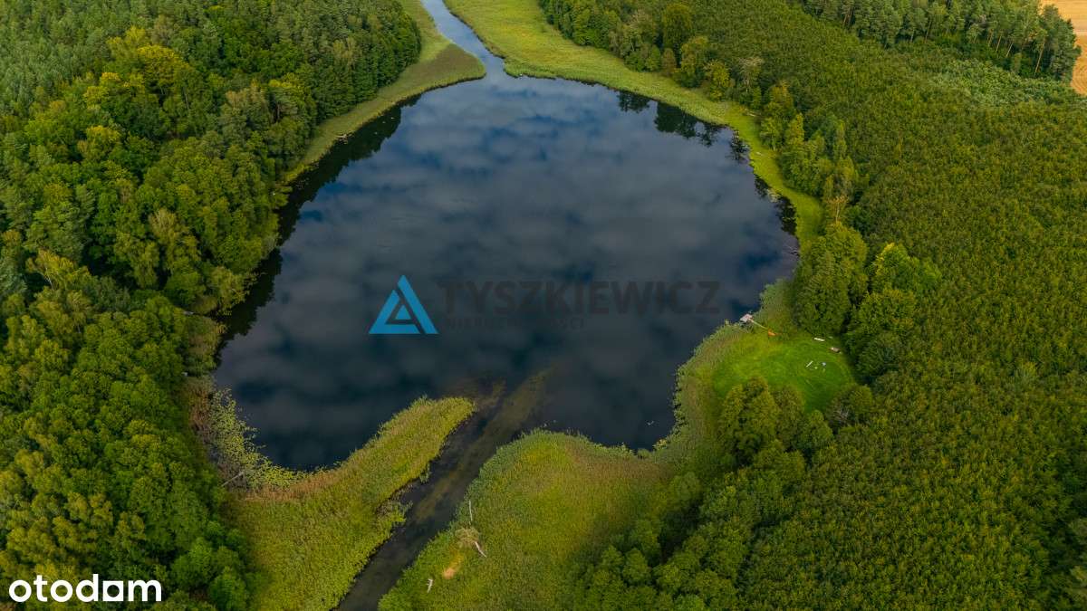 Działka Rolna 2.8949 ha- Lisewo gmina Przechlewo - Pełny obrazek: 5/7