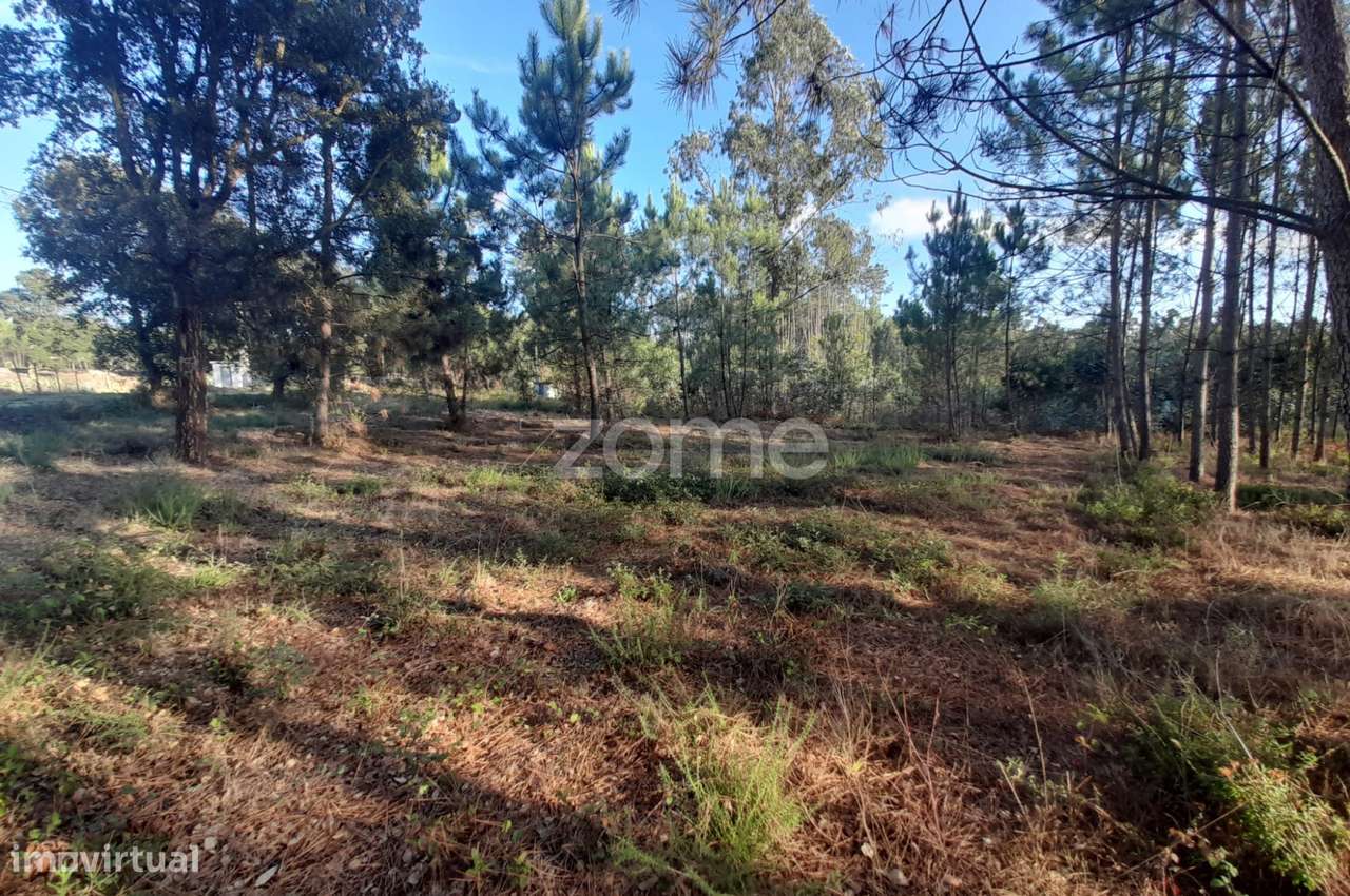 Terreno Rustico - Grande imagem: 5/28