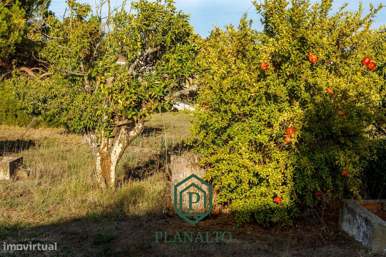 Quinta  Venda em Cortiçadas de Lavre e Lavre,Montemor-o-Novo-15