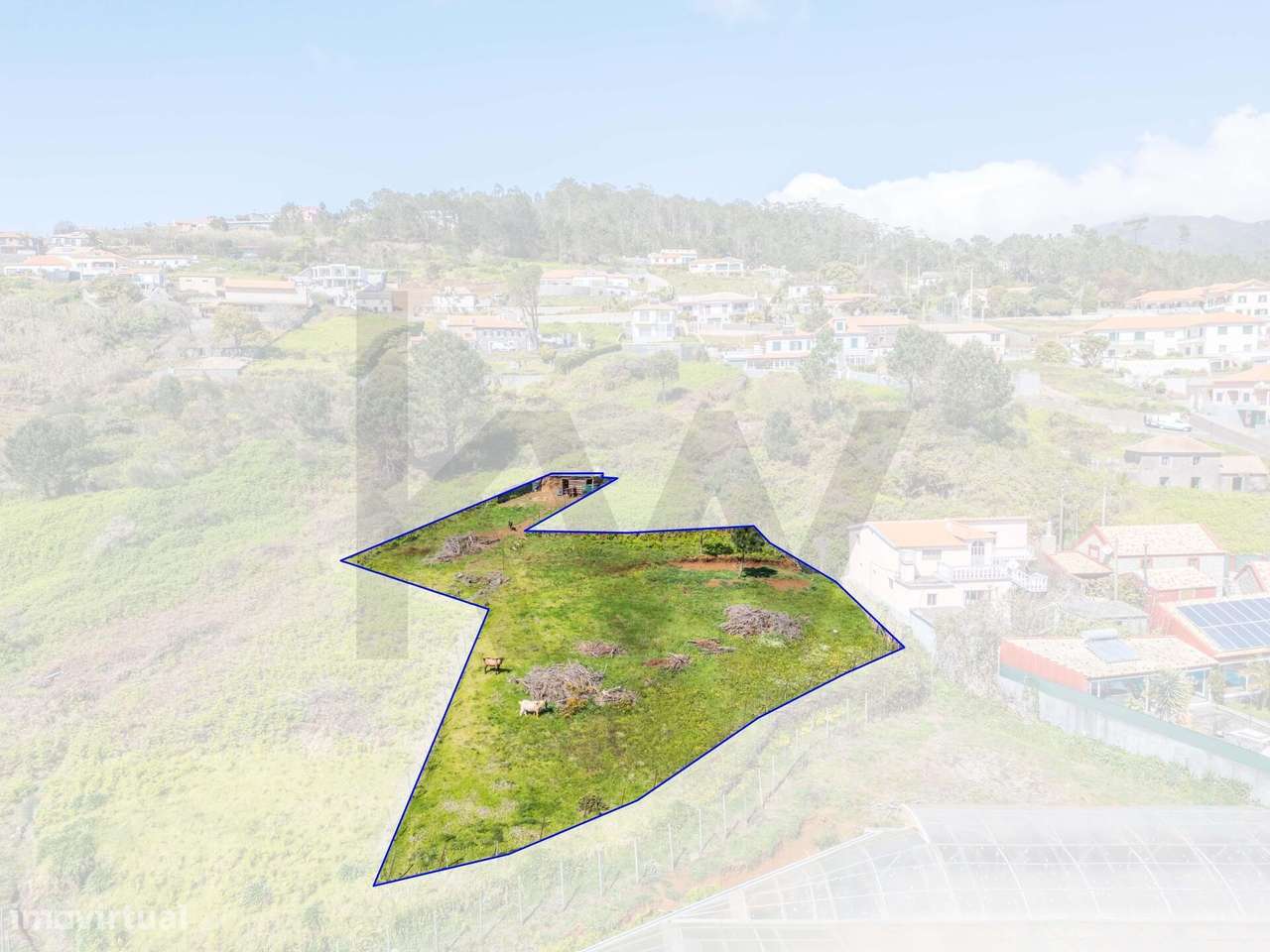 Terreno para construção / Prazeres - Calheta - Grande imagem: 4/22