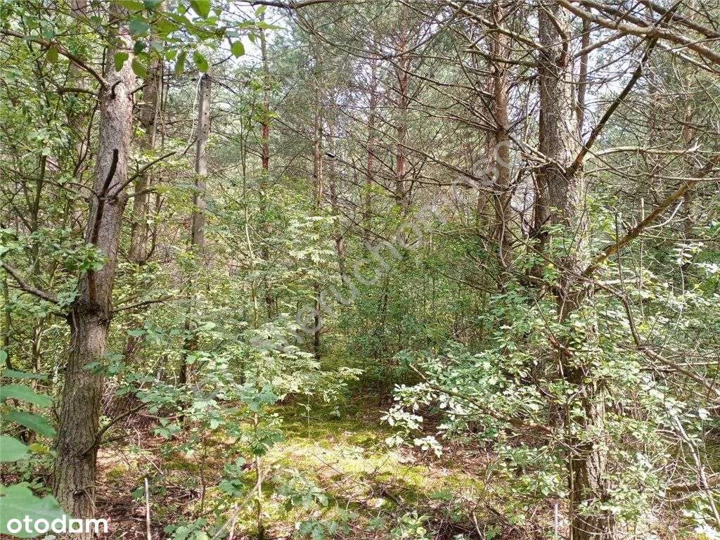 Działka w niedużej miejscowości letniskowej-0