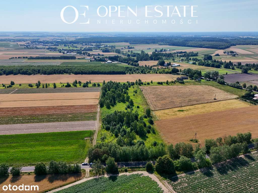 Działka podzielona/warunki zabudowy/droga publiczn - Pełny obrazek: 4/4