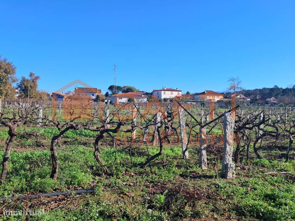 Terreno com mais de 5 mil metros quadrados para construção - Grande imagem: 4/14