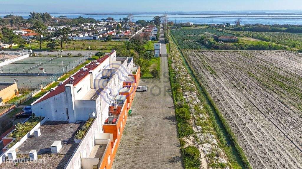 T4 _ Torreira - Grande imagem: 3/43