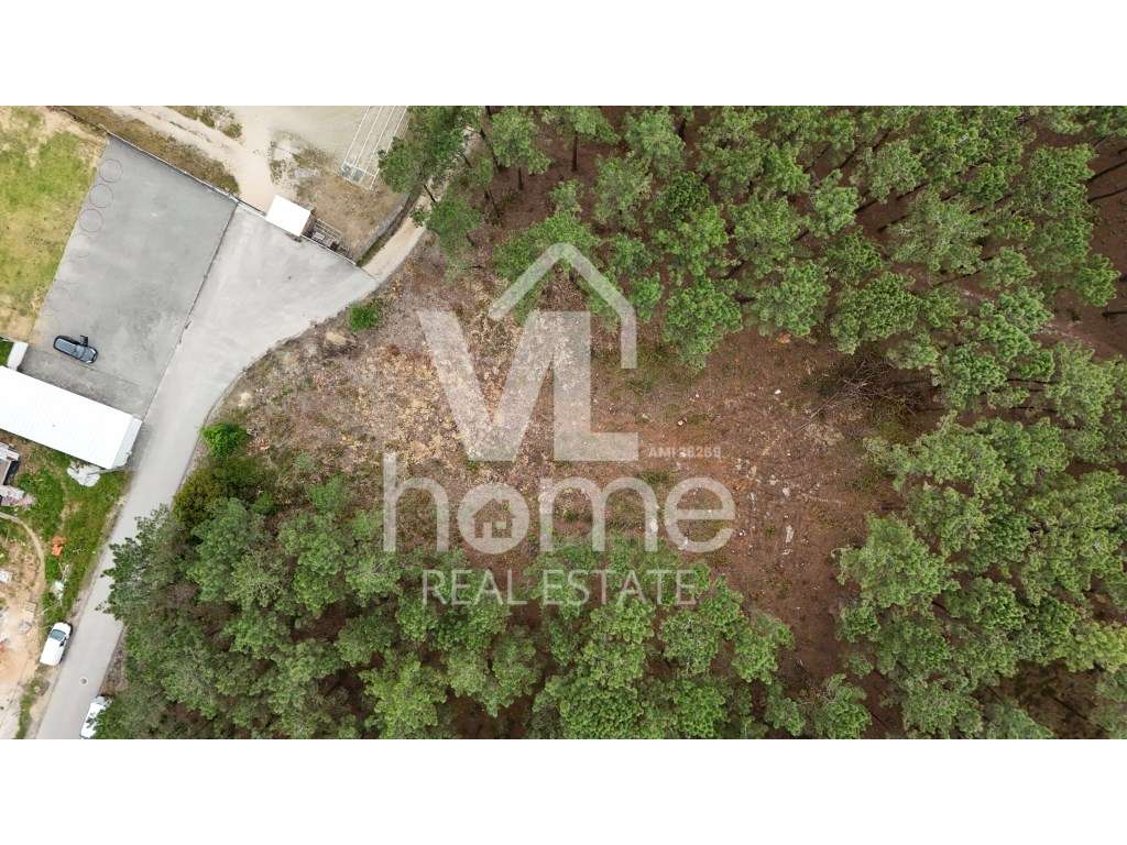 Terreno com Potencial para Moradias - Natureza e Conveniência de Mã...-12