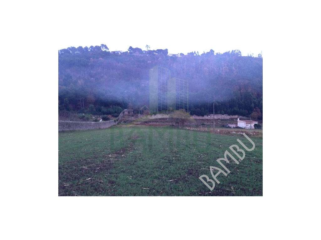 Terreno Rústico em Cristelo - Grande imagem: 2/5