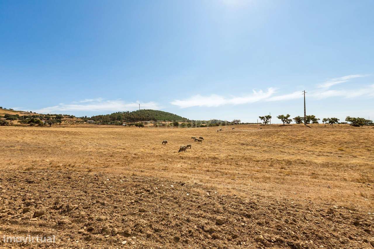 Monte Alentejano com 45 Hectares e Infraestruturas Agrícolas-13