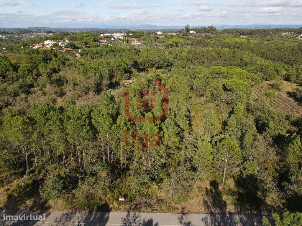 Terreno Rústico, Ourém! - Grande imagem: 5/7