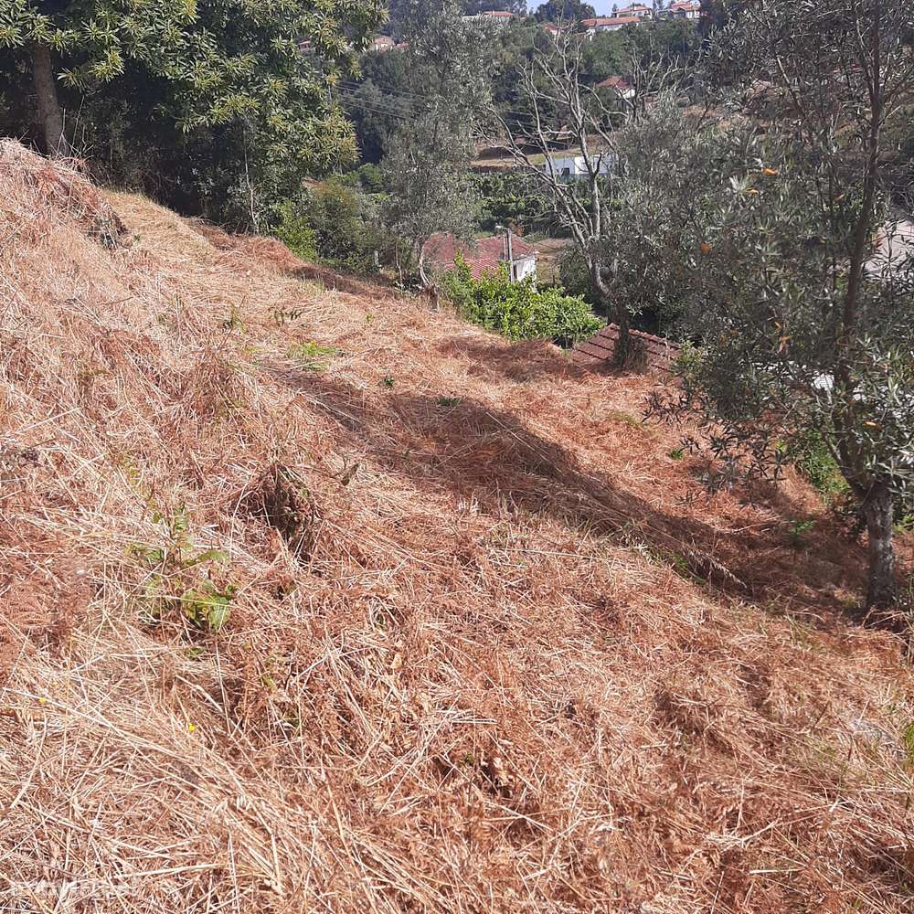 Casa em pedra para reconstruir Canelas Penafiel-39