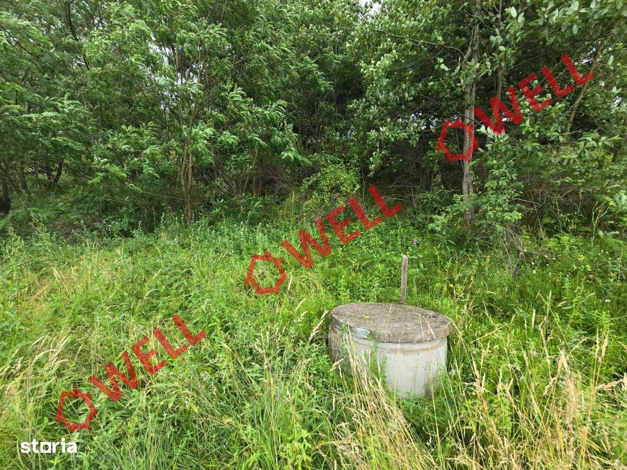 De vânzare teren extravilan loc. Sărămaș! - Imagine principală: 2/9