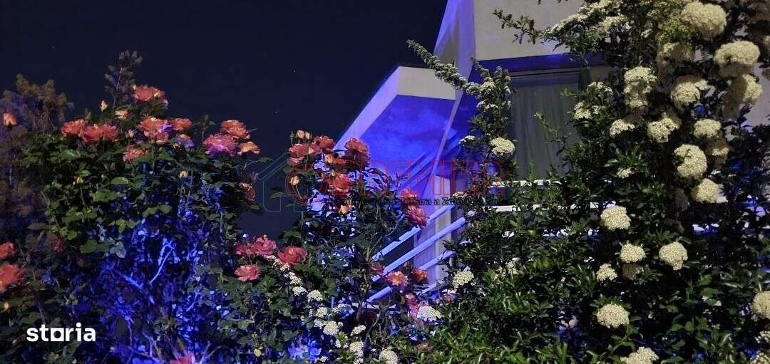 Oferta Noua !! ILFOV - BERCENI - Vila Curte Generoasa - 4 Camere --13